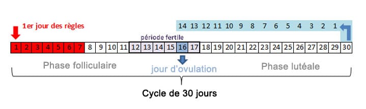 connaitre son cycle menstruel pour choisir sa contraception