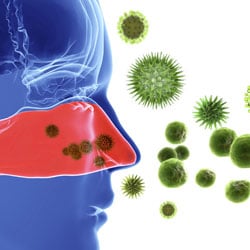 Les allergies cause principale de l'asthme