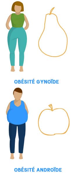 Les 2 types d'obésités différentes: gynoïde et androïde