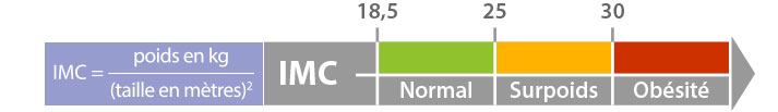 Calcul de l'IMC Indice de Masse Corporelle