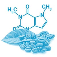 La caféine permet de bruler les graisses efficacement