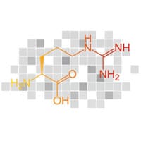 La L-Arginine pour une érection de qualité