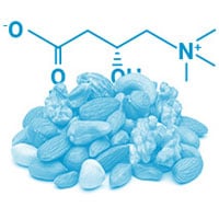 La L-carnitine pour augmenter votre énergie