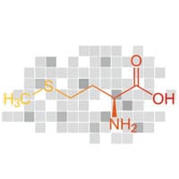 La méthionine pour retarder l'éjaculation précoce