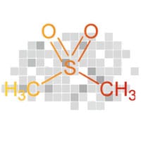 MSM Méthyle Sulfony Méthane pour des érections fermes