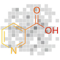 Vitamine B3 (Niacine) pour une érection durable