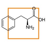 La Phénylalanine permet de réguler l'appétit