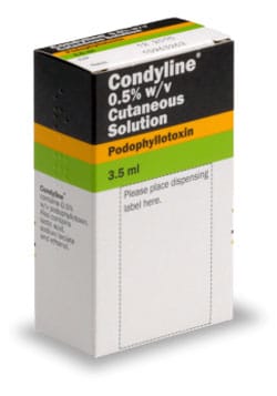 La podophyllotoxine est la molécule principale de la Condyline