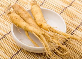 Le ginseng un tonifiant naturel