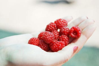 Comment fonctionne le Raspberry Ketone Max ?